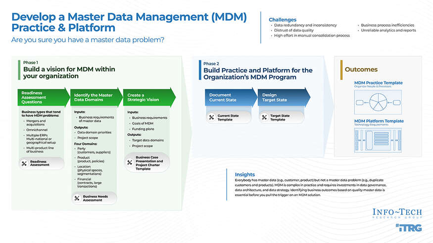 Develop a Master Data Management Practice and Platform visualization