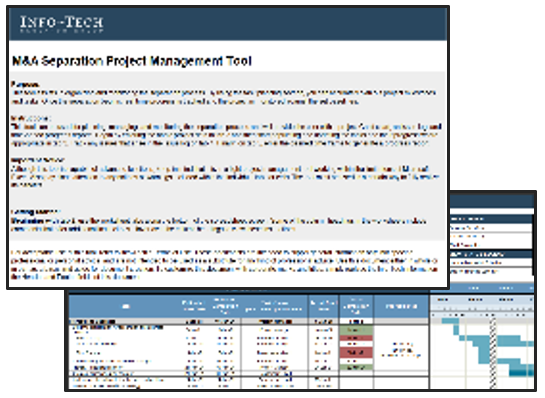 Screenshots of the 'M and A Separation Project Management Tool (Excel)' deliverable.