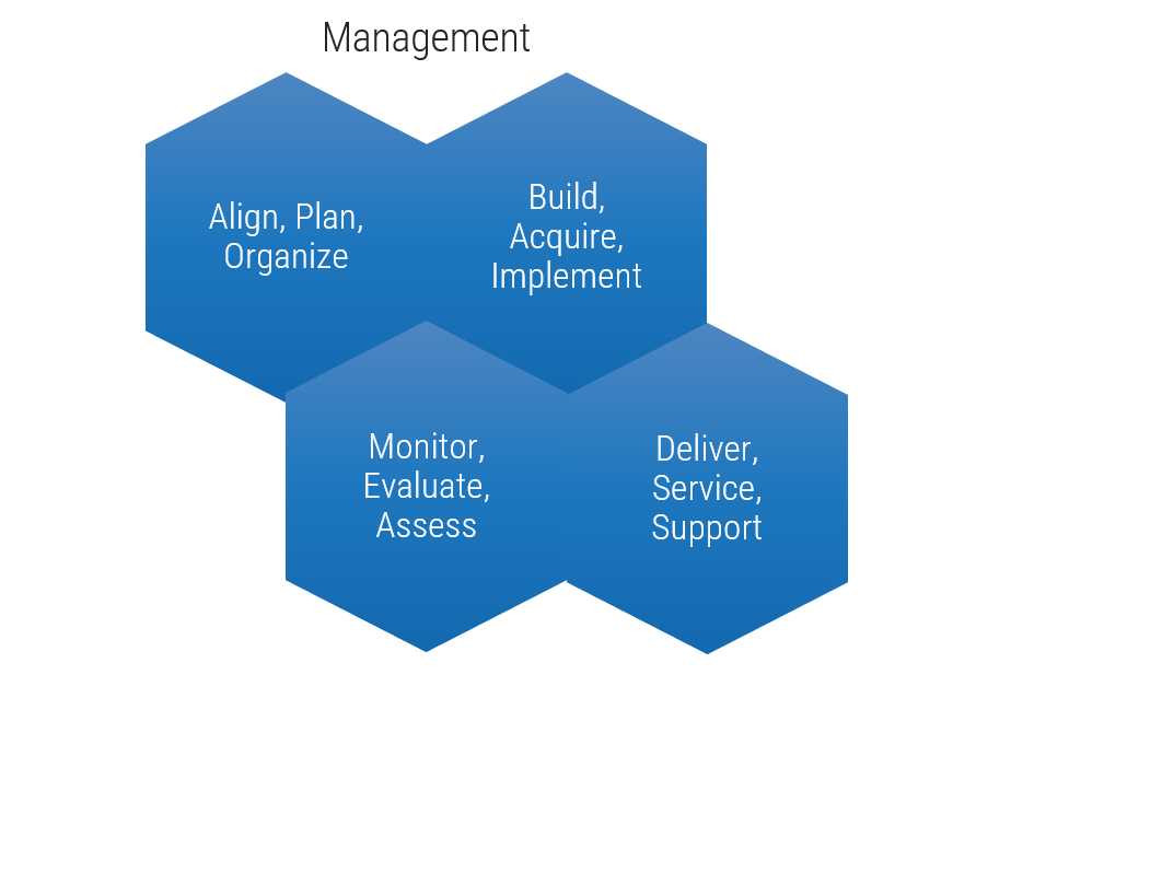 Management Cycle