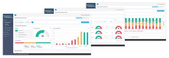 McLean Leadership Index